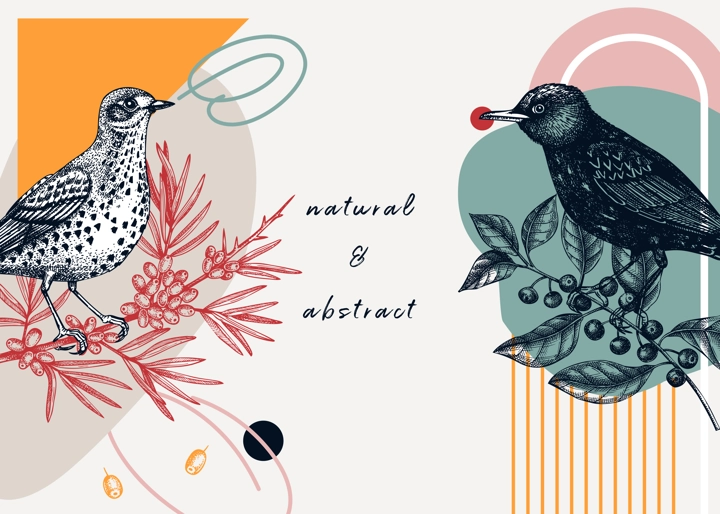 Collage style bird background. Sketched bird trendy frame. Creative background with botanical illustration, geometric shapes, and abstract elements. Perfect for print, wall art, packaging